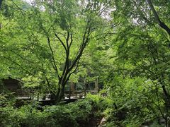-本溪汤沟绿石谷森林公园