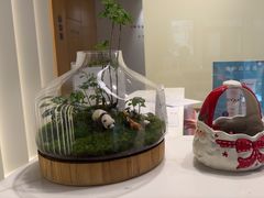 -齐玉齿科JADENTAL