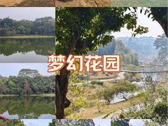 -东莞植物园