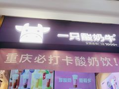 门面-一只酸奶牛(八一路店)