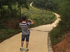 -函谷关历史文化旅游区