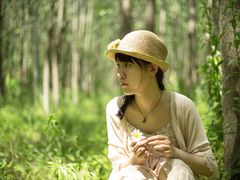 -合肥滨湖国家森林公园