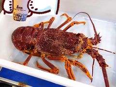 -悉尼鱼市场