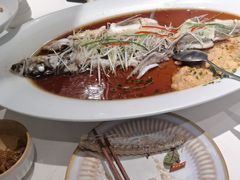 -丹江渔村(望京店)