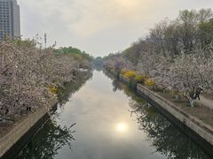-元大都城垣遗址公园