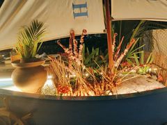 -亚龙湾希尔顿自助餐厅·海鲜·烧烤·沙滩BBQ·现场乐队
