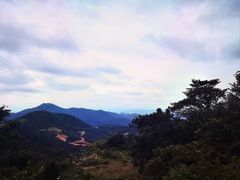 -大姆山草场