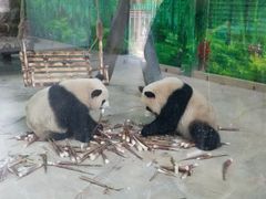 -灵玲国际马戏城