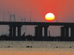 -宝安西湾红树林湿地公园