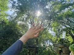 -天目湖涵田半山温泉