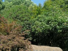 -杭州城北体育公园