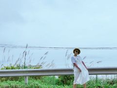 -枸杞岛