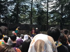 -环球影城 航海王剧场秀