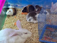 -万达广场(南京江宁店)