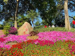 -白云山索道-售票处