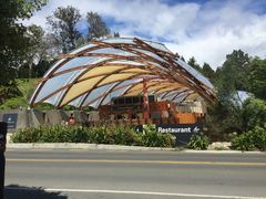 -怀托摩萤火虫洞