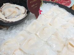 澳洲鲍鱼-协成海鲜火锅(情侣路店)