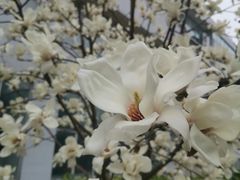 -南京工程学院(江宁校区)