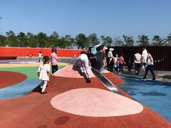 -春花秋色城市公园