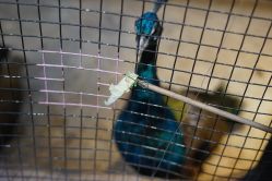 -酷嗒动物文化乐园(cutezoo西溪乐天城店)