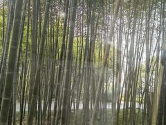 -苏州环秀晓筑养生度假村