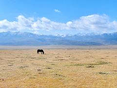 -祁连山草原