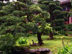 -华雅花园大酒店