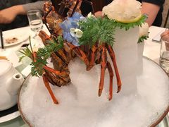 澳洲龙虾-申粤轩酒楼·三十年粤菜经典(丁香花园店)