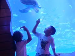 -太平洋海底世界