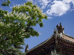 -潭柘寺景区