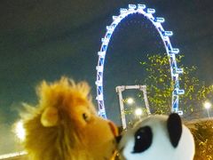 -新加坡摩天观景轮