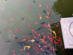 -西安华清御汤酒店