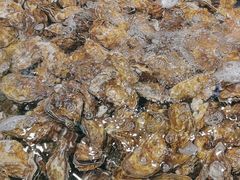 -海天盛宴新派海鲜自助餐厅(群力店)