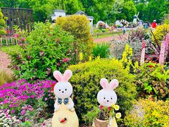 -上海共青森林公园