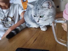 -平行世界·猫咖(首经贸店)