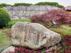 -嘉定紫藤园