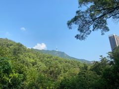 -深圳仙湖植物园