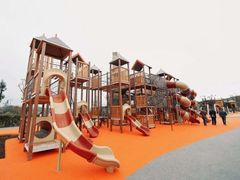 -枫香湖儿童公园