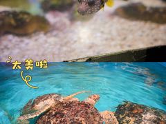 -正佳雨林生态植物园