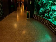 -富侨养生(金山旗舰店)