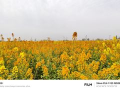 -中国天府农业博览园