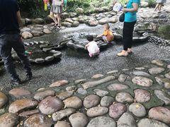 -成都市活水公园