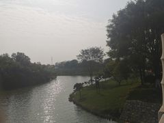 -塘沽森林公园