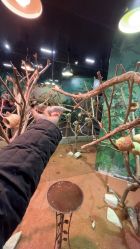 点击看大图 -Zoolung Zoolung动物主题公园(海信广场店)