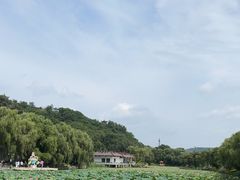 -北山公园