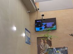 -小团圆糖水铺(襄阳南路店)