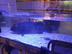 -十六蒲(桂林路店)