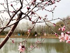 -东郊湿地公园