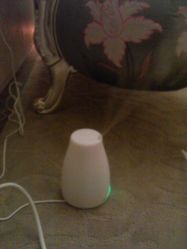 香薰-张玉珊修身堂