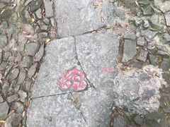 -西湖风景区十里琅珰-五云山